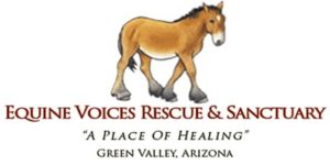 Equine Voices: Rescue & Sanctuary